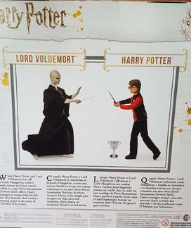 Гарри Поттер и лорд Волдеморт Harry Potter